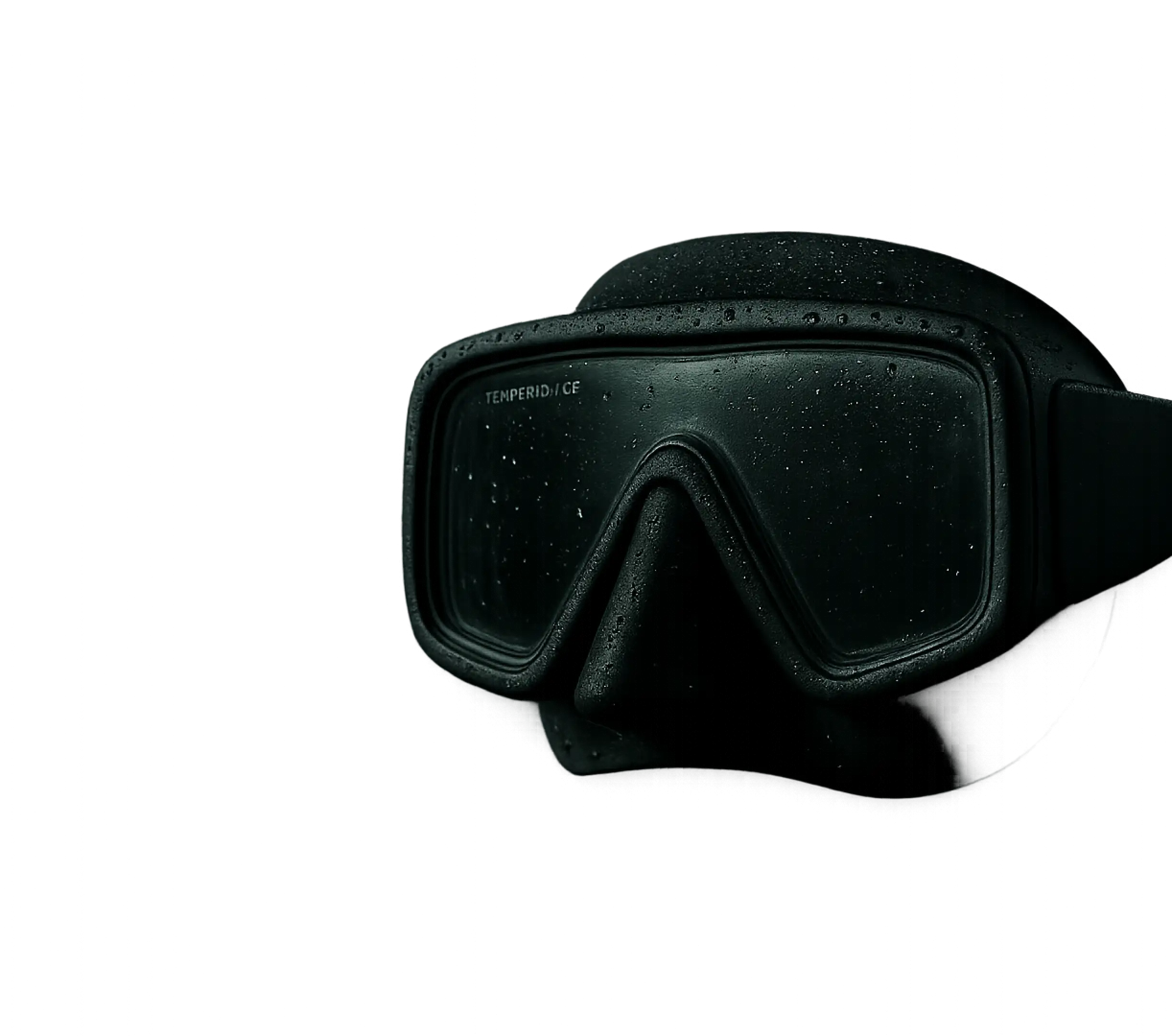 Dive Mask